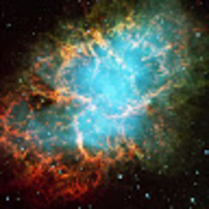 Meet your Posher, Elena